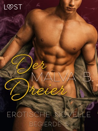 Malva B: Begierde 5 - Der Dreier: Erotische Novelle