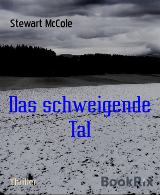 Stewart McCole: Das schweigende Tal