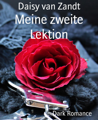 Daisy van Zandt: Meine zweite Lektion