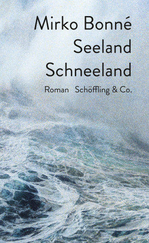 Mirko Bonné: Seeland Schneeland