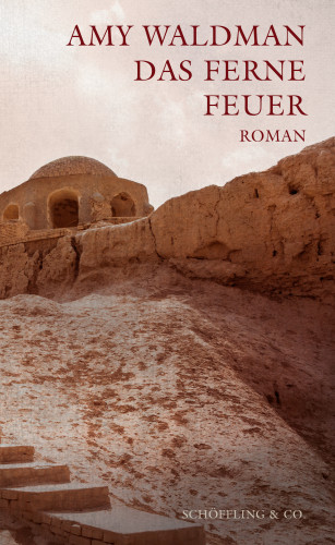 Amy Waldman: Das ferne Feuer
