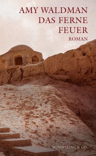 Amy Waldman: Das ferne Feuer