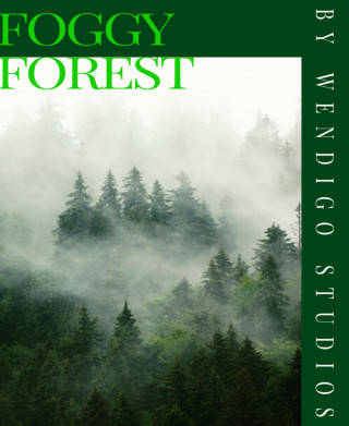 Wendigo Studios: Foggy Forest