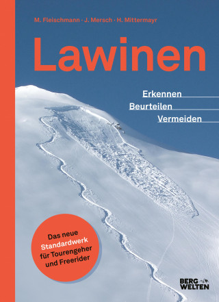 Jan Mersch, Markus Fleischmann, Helmut Mittermayer: Lawinen