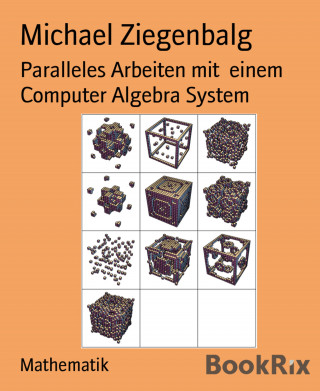 Michael Ziegenbalg: Paralleles Arbeiten mit einem Computer Algebra System