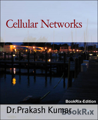 Dr.Prakash Kumar: Cellular Networks