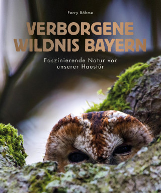 Ferry Böhme: Verborgene Wildnis Bayern