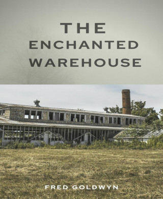 Fred Goldwyn: The Enchanted Warehouse
