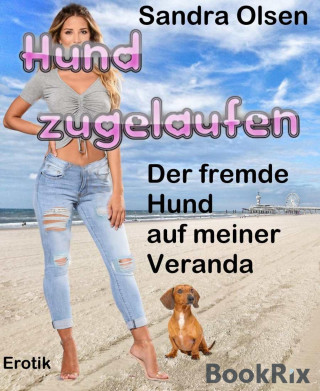 Sandra Olsen: Hund zugelaufen