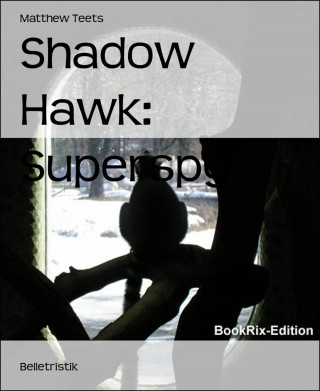 Matthew Teets: Shadow Hawk: Superspy