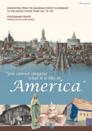 Friedemann Fegert: "You cannot imagine what it is like in America."