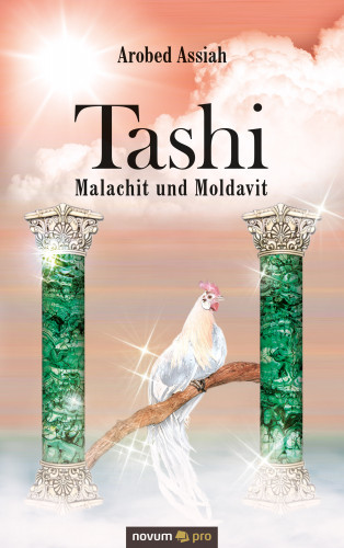 Arobed Assiah: Tashi – Malachit und Moldavit