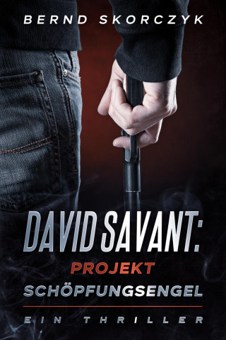 Bernd Skorczyk: David Savant: Projekt Schöpfungsengel