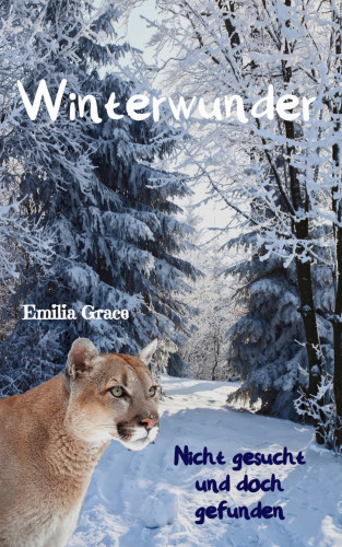 Emilia Grace: Winterwunder - Nicht gesucht und doch gefunden