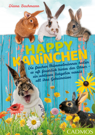 Diana Bachmann: Happy Kaninchen