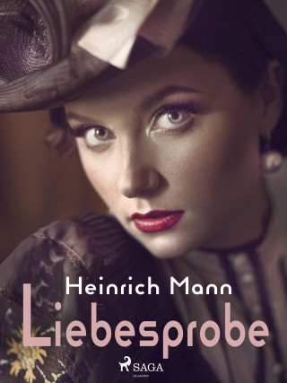 Heinrich Mann: Liebesprobe