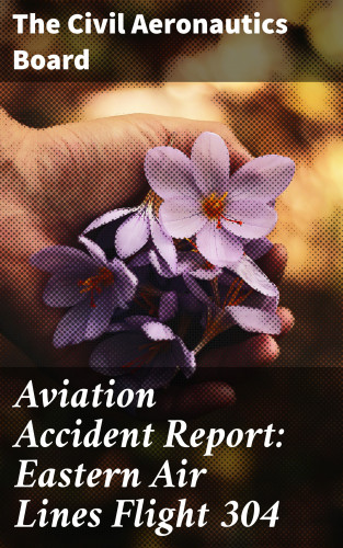 The Civil Aeronautics Board: Aviation Accident Report: Eastern Air Lines Flight 304