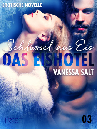 Vanessa Salt: Das Eishotel 3 - Schlüssel aus Eis - Erotische Novelle