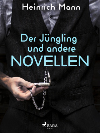 Heinrich Mann: Der Jüngling und andere Novellen