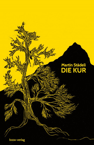 Martin Städeli: Die Kur