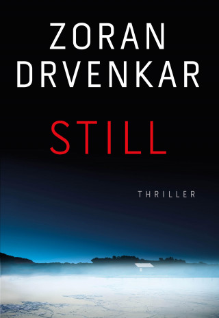 Zoran Drvenkar: Still