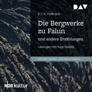 E. T. A. Hoffmann: Die Bergwerke zu Falun und andere Erzählungen (Gekürzt)
