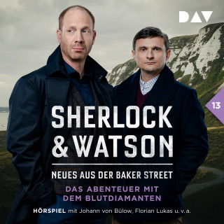 Viviane Koppelmann: Sherlock & Watson - Neues aus der Baker Street, Band 13: Das Abenteuer mit dem Blutdiamanten