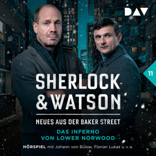 Viviane Koppelmann: Sherlock & Watson - Neues aus der Baker Street, Band 11: Das Inferno von Lower Norwood