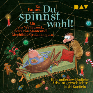 Kai Pannen: Du spinnst wohl! Eine außergewöhnliche Adventsgeschichte in 24 Kapiteln (Gekürzt)