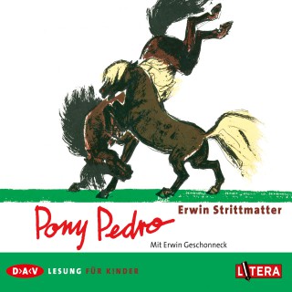 Erwin Strittmatter: Pony Pedro