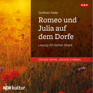 Gottfried Keller: Romeo und Julia auf dem Dorfe