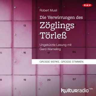 Robert Musil: Die Verwirrungen des Zöglings Törleß (Ungekürzte Lesung)