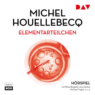Michel Houellebecq: Elementarteilchen