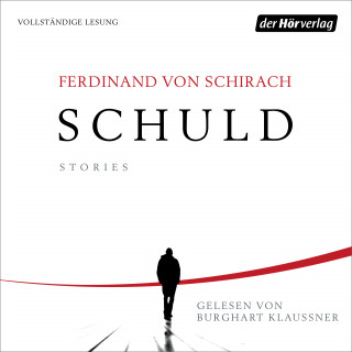 Ferdinand von Schirach: Schuld