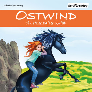 Rosa Schwarz: Ostwind - Ein rätselhafter Unfall
