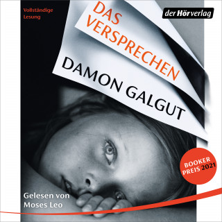 Damon Galgut: Das Versprechen