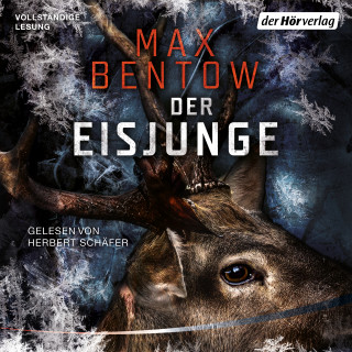 Max Bentow: Der Eisjunge