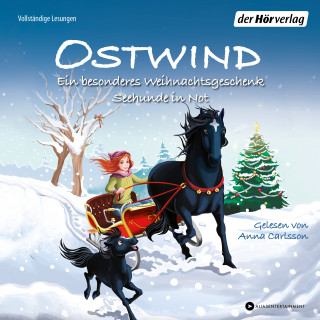 THiLO: Ostwind. Ein besonderes Weihnachtsgeschenk & Seehunde in Not