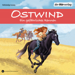 Rosa Schwarz: Ostwind - Ein gefährliches Rennen