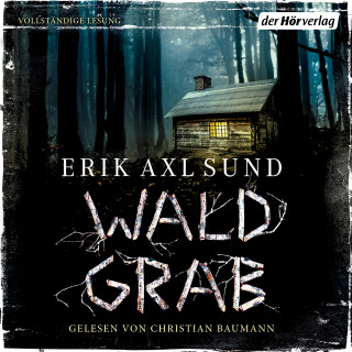 Erik Axl Sund: Waldgrab