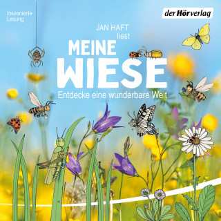 Jan Haft: Meine Wiese. - Entdecke eine wunderbare Welt