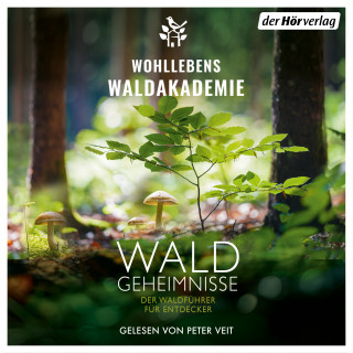 Wohllebens Waldakademie: Waldgeheimnisse