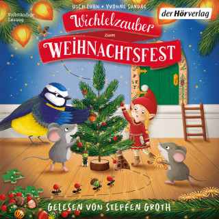 Usch Luhn: Wichtelzauber zum Weihnachtsfest - 24 Adventskalender-Geschichten