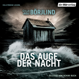 Cilla Börjlind, Rolf Börjlind: Das Auge der Nacht