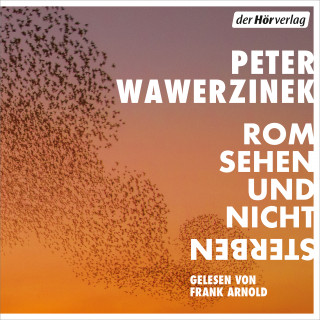 Peter Wawerzinek: Rom sehen und nicht sterben