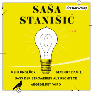Saša Stanišić: Mein Unglück beginnt damit, dass der Stromkreis als Rechteck abgebildet wird