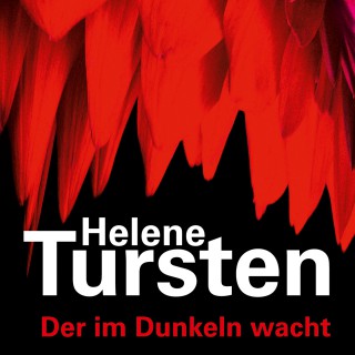 Helene Tursten: Der im Dunkeln wacht