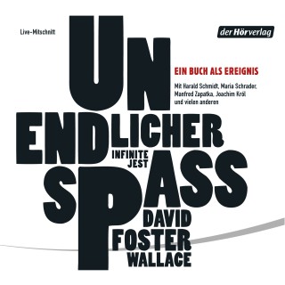 David Foster Wallace: Unendlicher Spaß