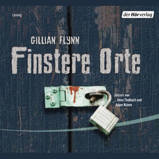 Gillian Flynn: Finstere Orte