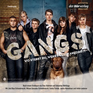 Sebastian Wehlings, Peer Klehmet: Gangs (Filmhörspiel)
